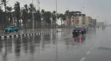 سحب منخفضة وأمطار.. «الأرصاد الجوية» توضح تفاصيل حالة الطقس اليوم الأحد 29 مارس 2026